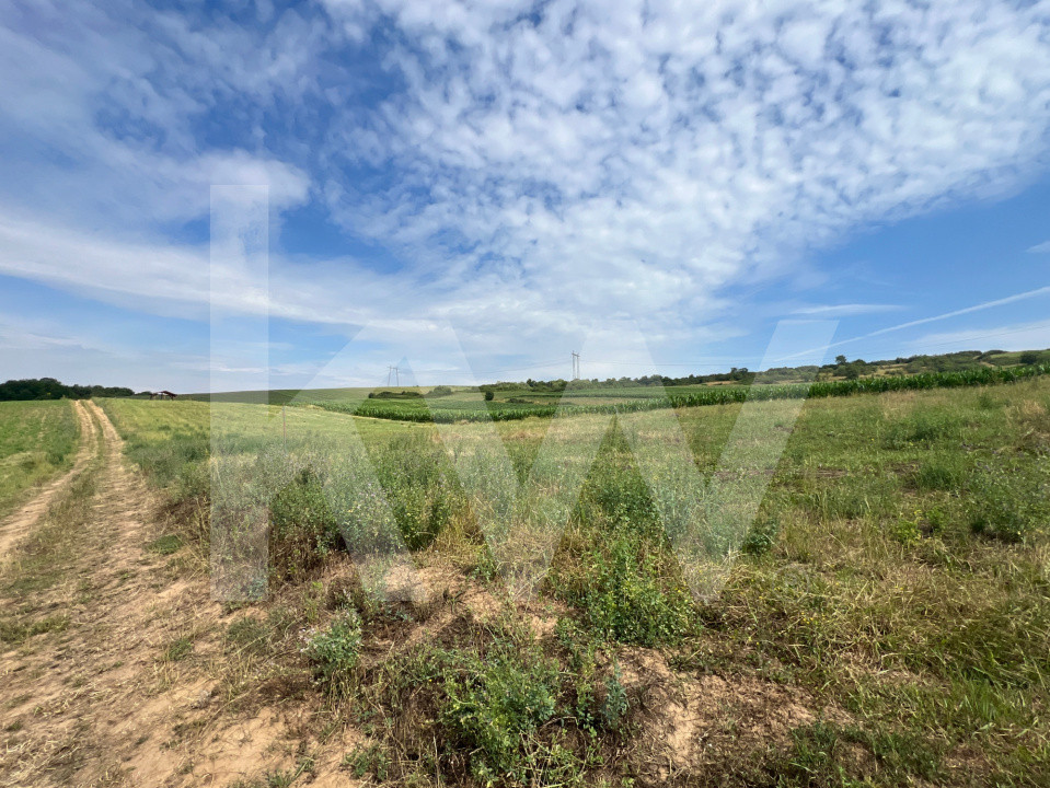 Teren extravilan de vânzare în Cașolț, 531 mp - Panoramă deosebită