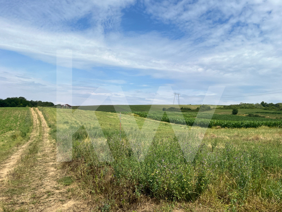 Teren extravilan de vânzare în Cașolț, 531 mp - Panoramă deosebită