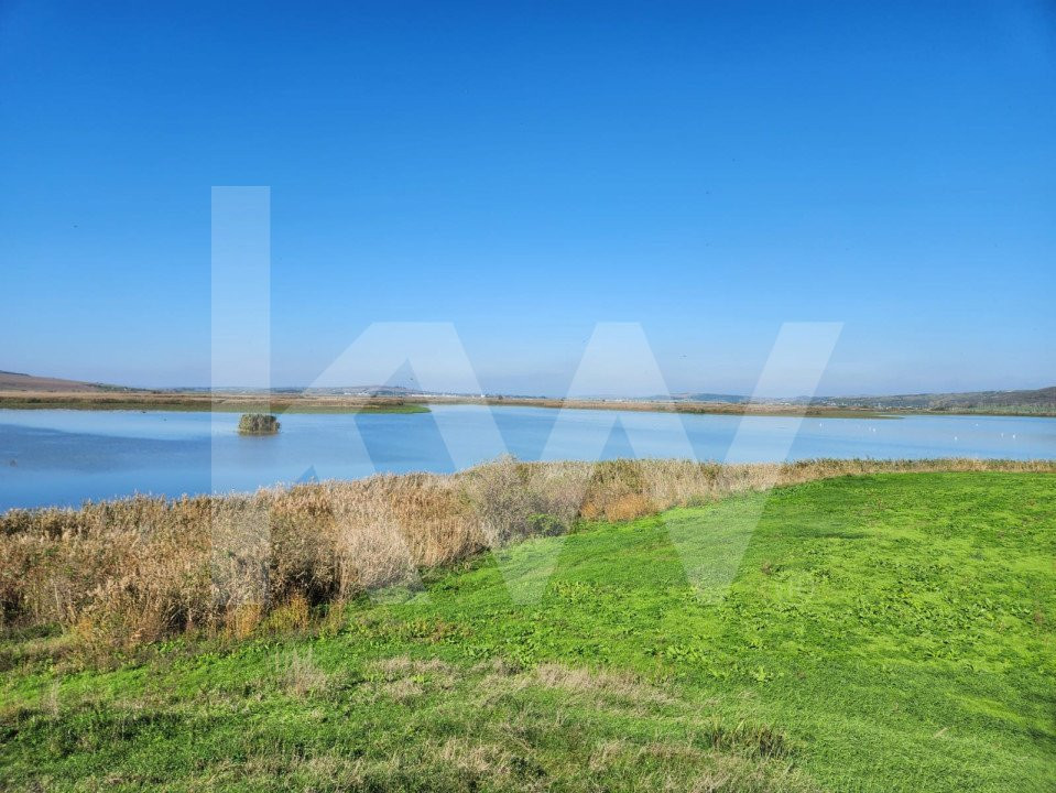 Delta Moldovei – Investiția Perfectă în Natură, Ecoturism și Dezvoltare Durabilă
