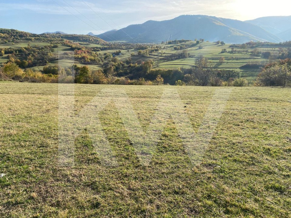 Descoperă terenul ideal pentru casa ta de vis în Rășinari!