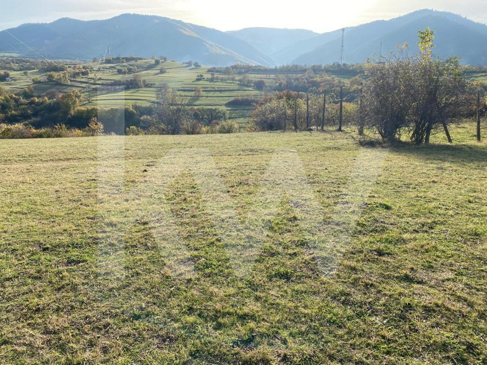 Descoperă terenul ideal pentru casa ta de vis în Rășinari!