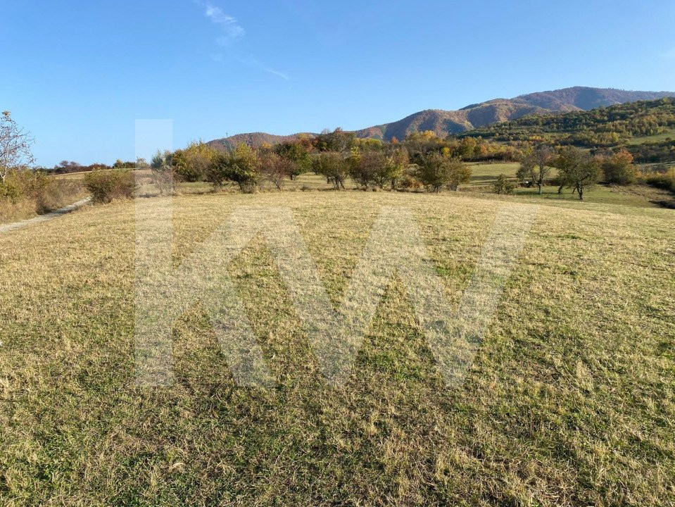 Descoperă terenul ideal pentru casa ta de vis în Rășinari!