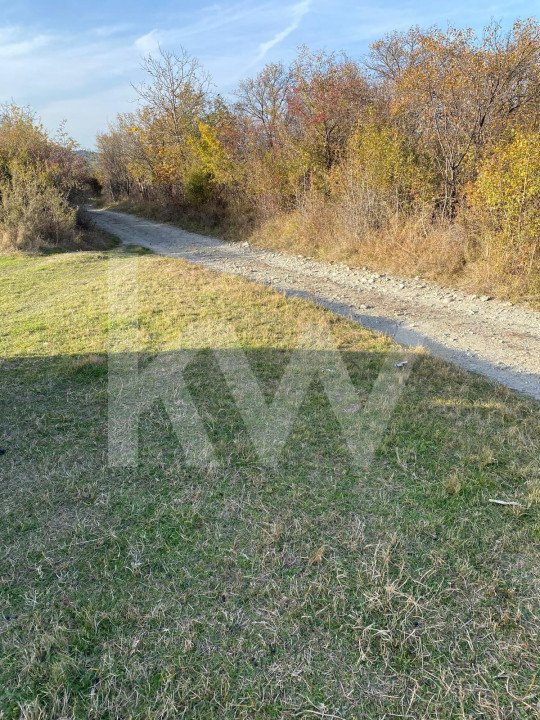 Descoperă terenul ideal pentru casa ta de vis în Rășinari!