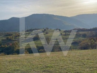 Descoperă terenul ideal pentru casa ta de vis în Rășinari!
