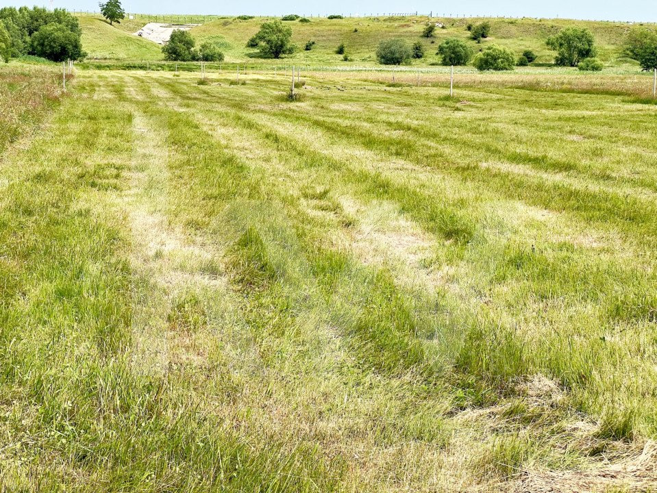Teren intravilan in Sibiu - 3 parcele 394 mp, 445 mp, 529 mp -Turnișor