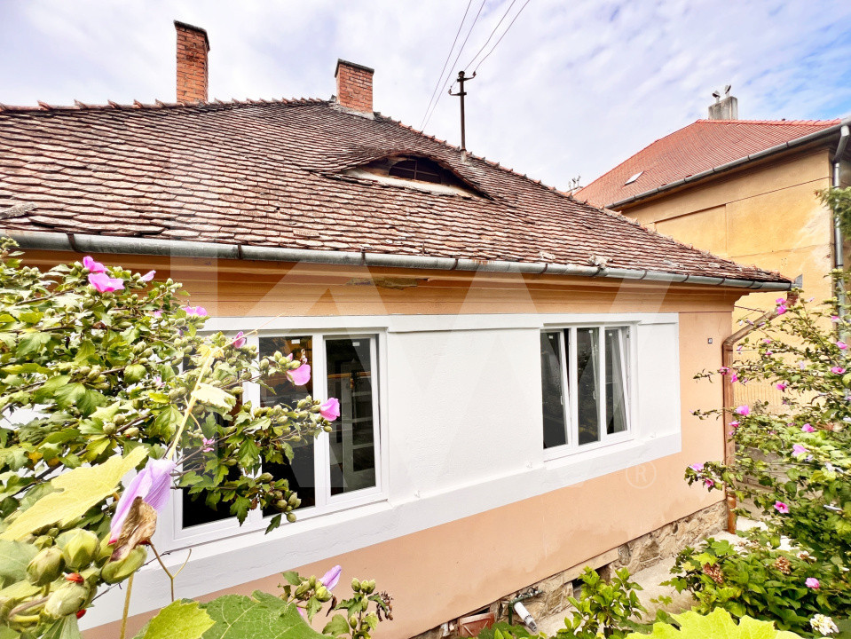 Casă pe un singur nivel cu 3 camere+pivniță. Pod și curte-Zona Sub Arini