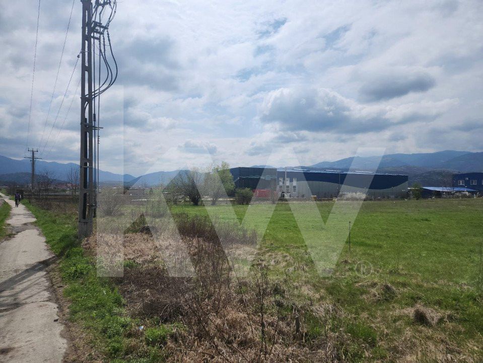 Oportunitate de Investiție sau Construcție Hală – Teren 3.900 mp | Tălmaciu