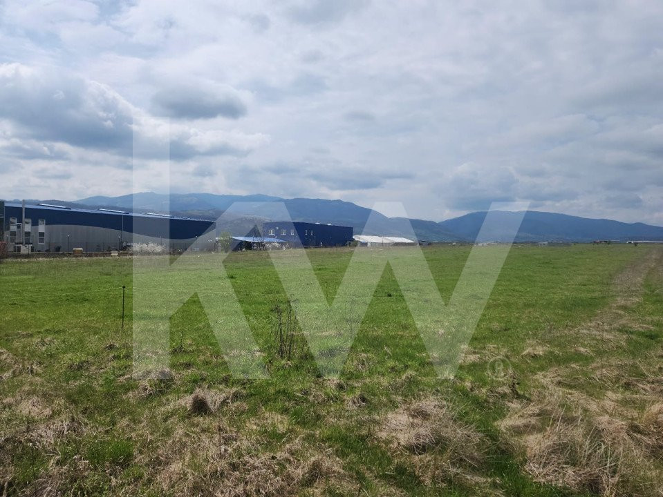 Oportunitate de Investiție sau Construcție Hală – Teren 3.900 mp | Tălmaciu