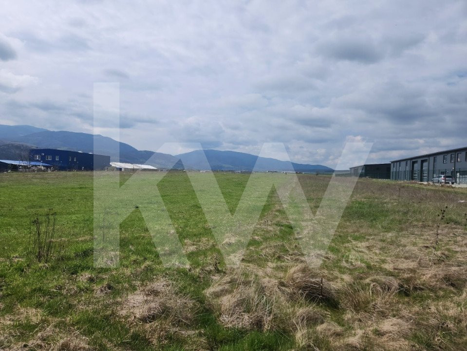 Oportunitate de Investiție sau Construcție Hală – Teren 3.900 mp | Tălmaciu