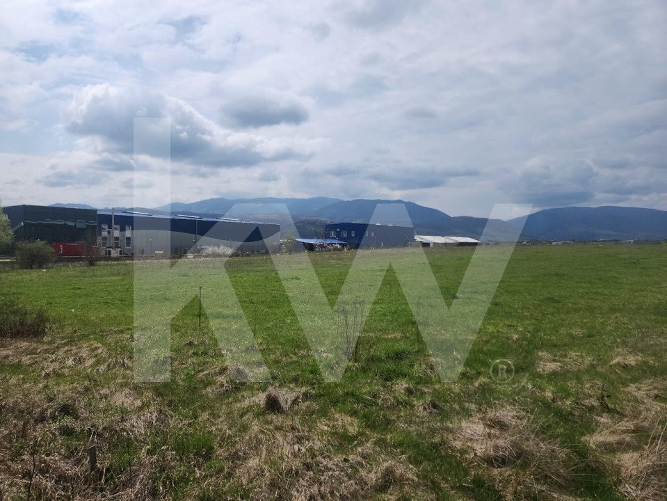 Oportunitate de Investiție sau Construcție Hală – Teren 3.900 mp | Tălmaciu