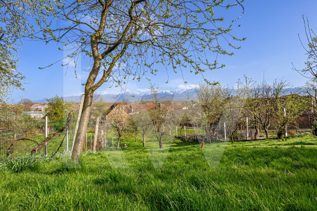 Casă deosebită în Avrig – Central, cu livadă, grădină și vedere spre munți