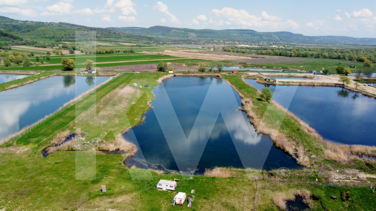 Teren Extravilan cu lac – Investiție în Natură și Agrement | 35.251 mp