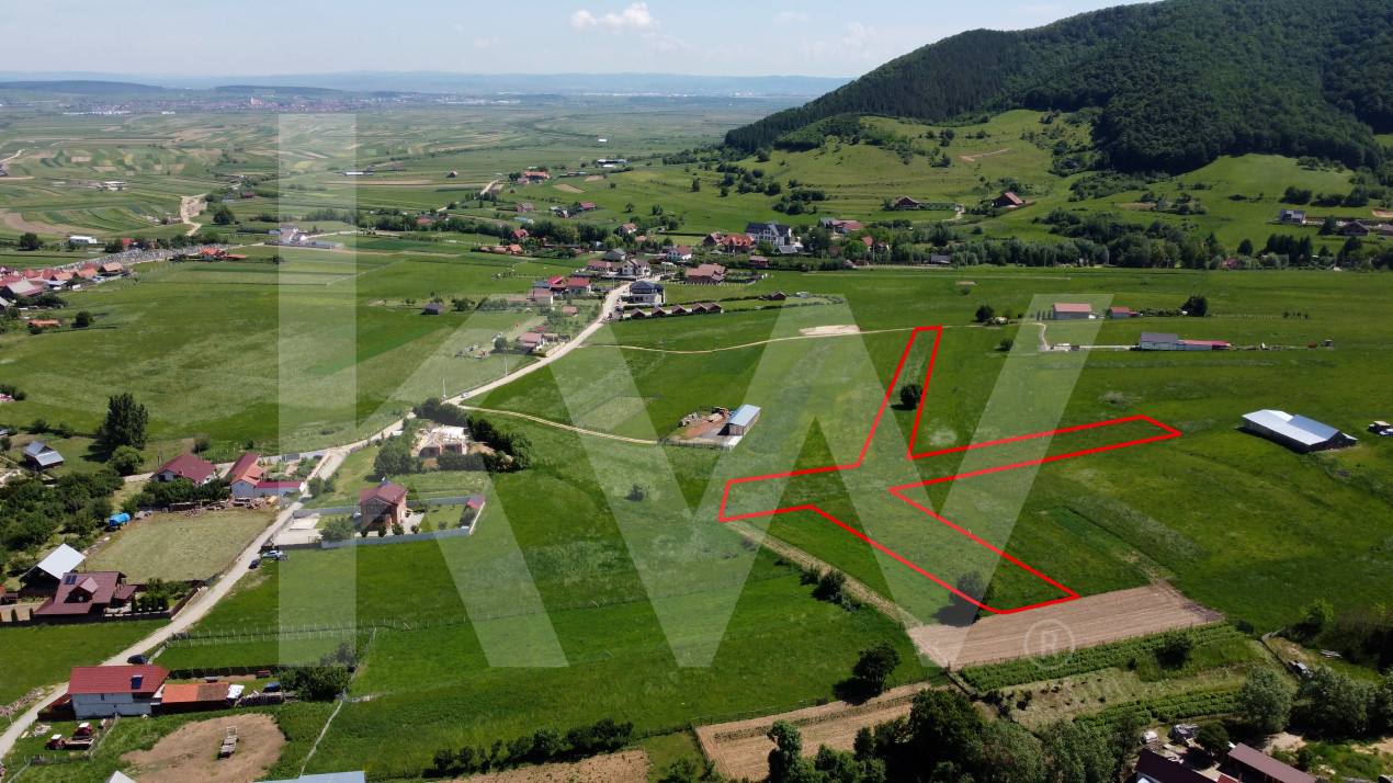 Teren cu peisaj spectaculos în Gura Râului – munte, aer curat, libertate