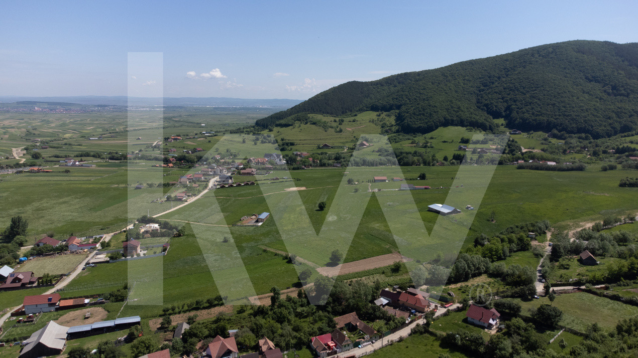 Teren cu peisaj spectaculos în Gura Râului – munte, aer curat, libertate