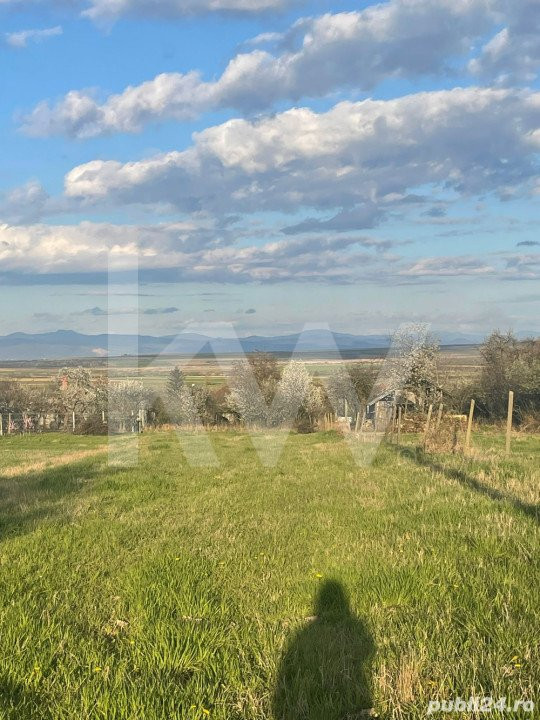 Casă de Vânzare în Viile Satu Mare – Str. Piața Morii nr. 16 SM 447360