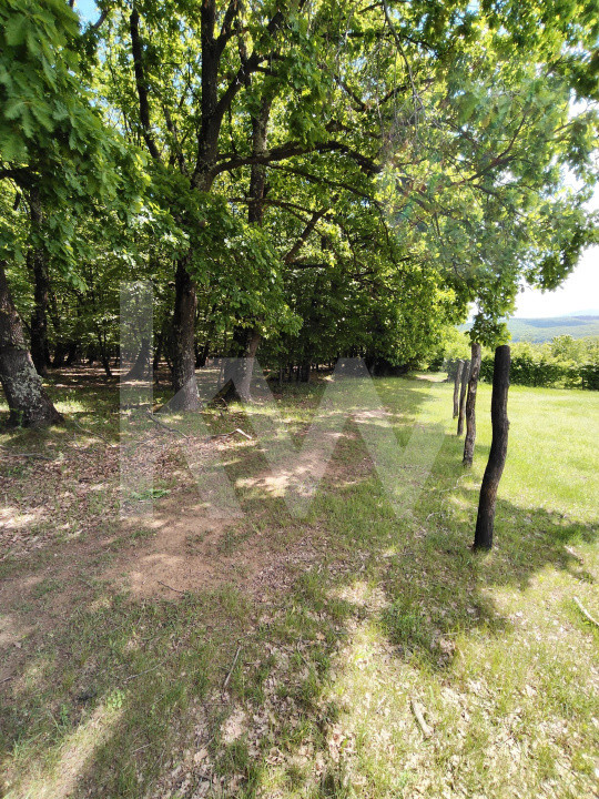 Teren de vanzare Tropinii Noi Intravilan