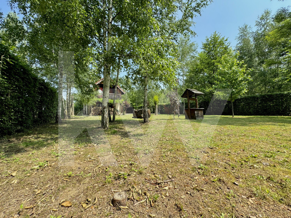 Cabana rustică de vis pe Valea Avrigului – un colț de rai în mijlocul naturii