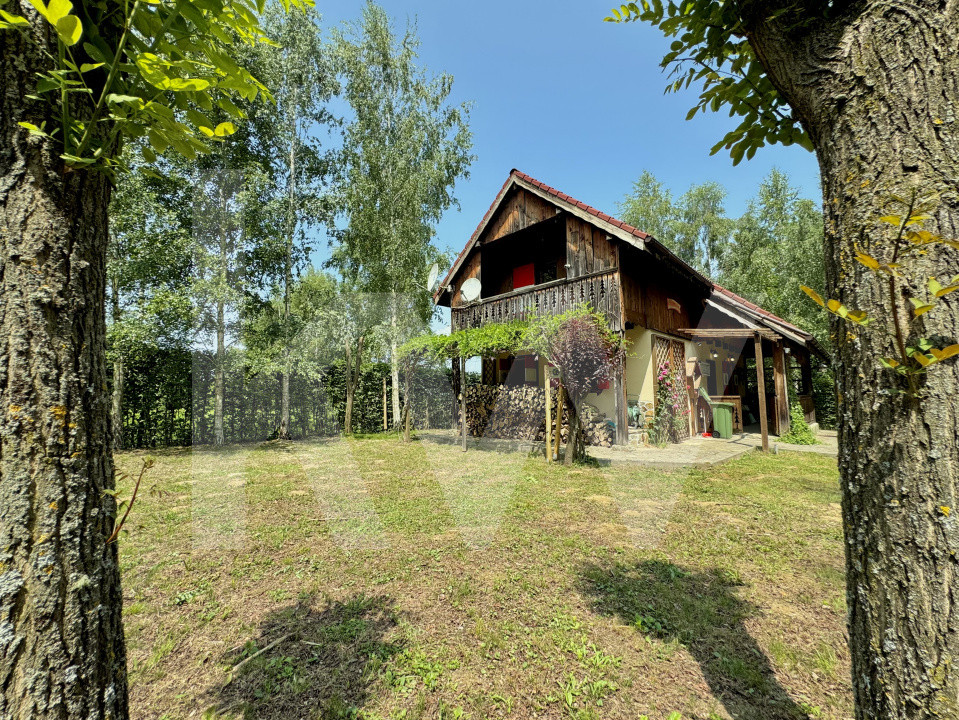 Cabana rustică de vis pe Valea Avrigului – un colț de rai în mijlocul naturii