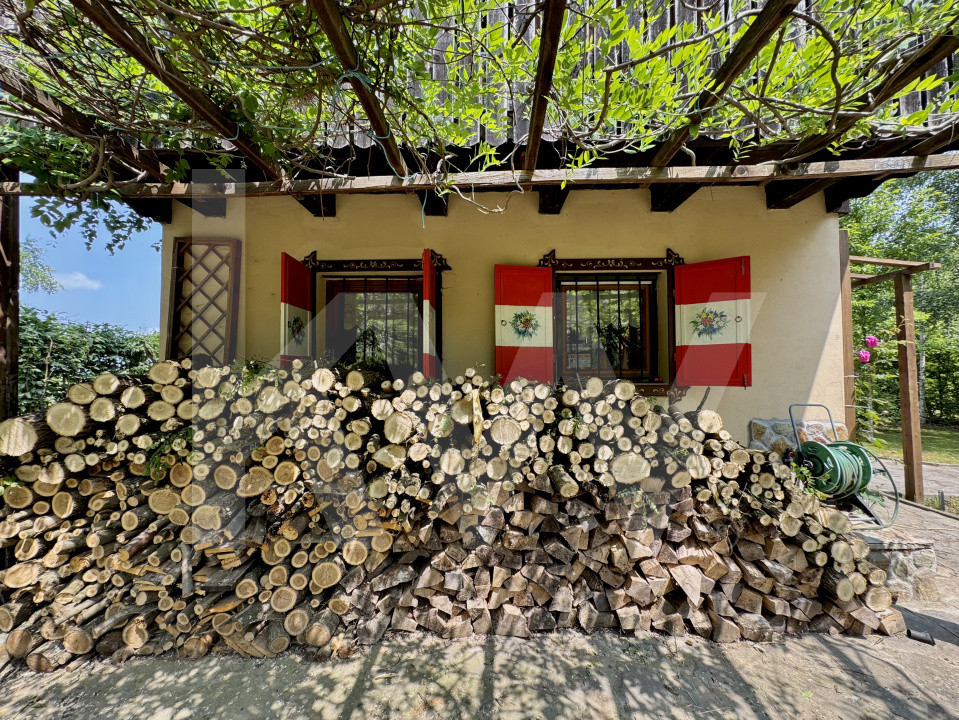 Cabana rustică de vis pe Valea Avrigului – un colț de rai în mijlocul naturii