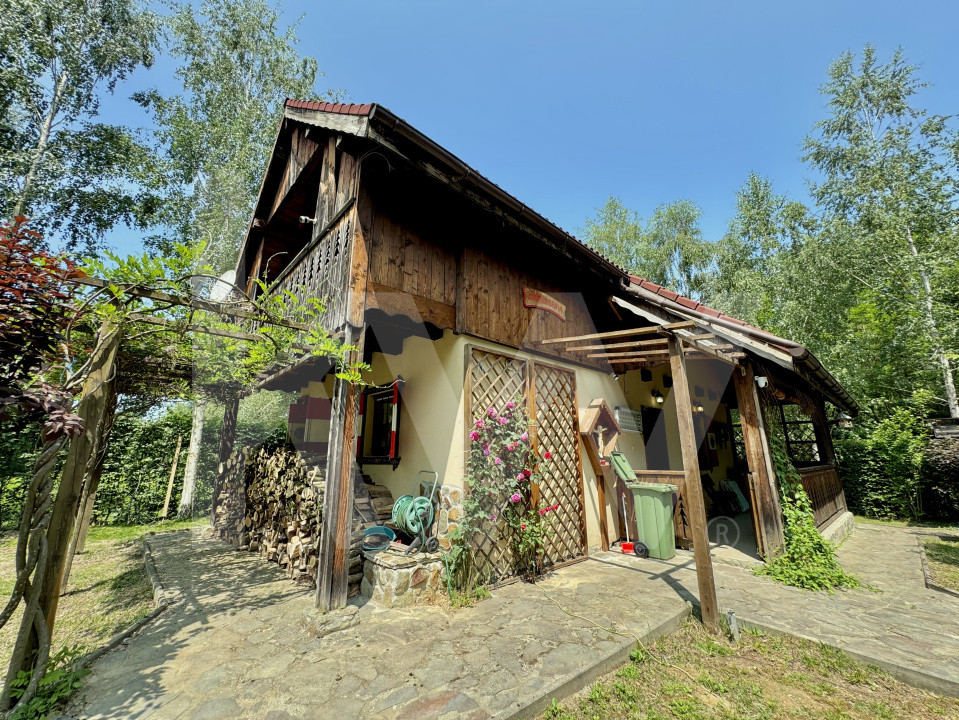 Cabana rustică de vis pe Valea Avrigului – un colț de rai în mijlocul naturii