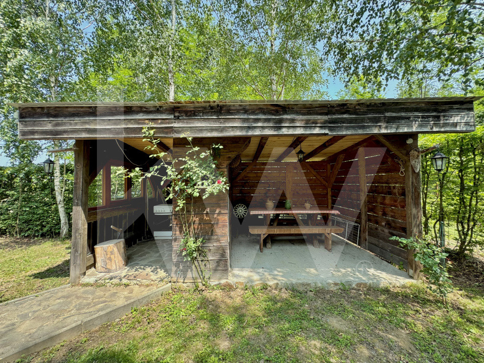 Cabana rustică de vis pe Valea Avrigului – un colț de rai în mijlocul naturii