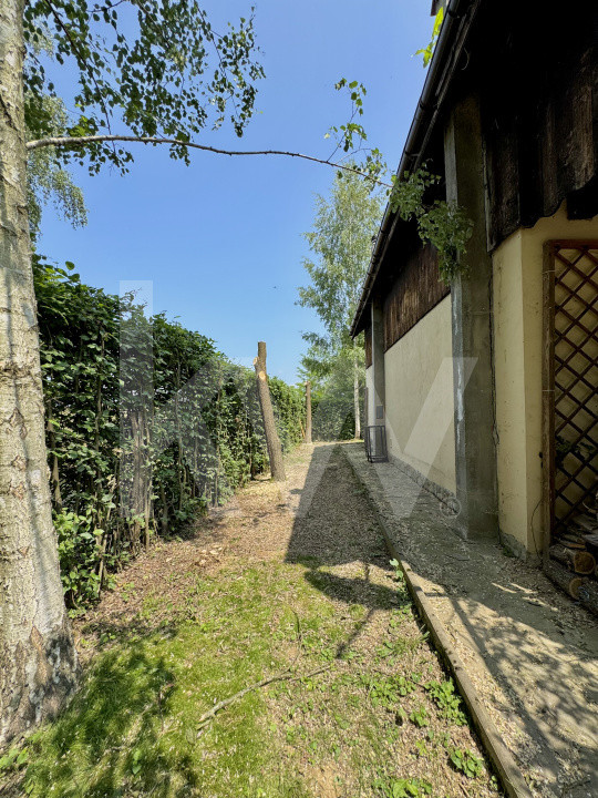 Cabana rustică de vis pe Valea Avrigului – un colț de rai în mijlocul naturii