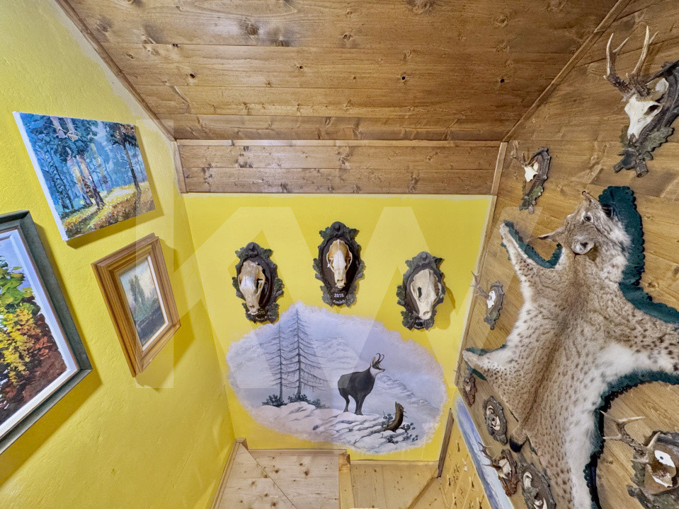 Cabana rustică de vis pe Valea Avrigului – un colț de rai în mijlocul naturii