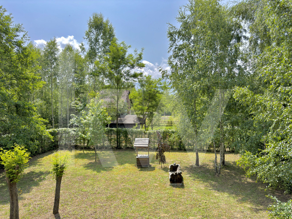 Cabana rustică de vis pe Valea Avrigului – un colț de rai în mijlocul naturii