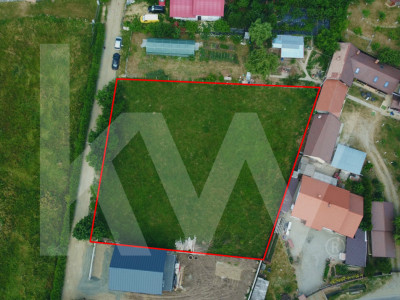 Teren intravilan 2000 mp - Tocile, vedere panoramică spre munte și pădure