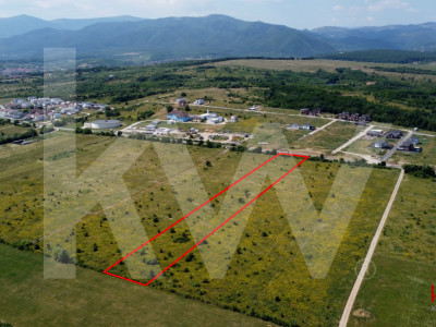 Teren intravilan 5100 mp, Cisnadie - ideal pentru investitie 