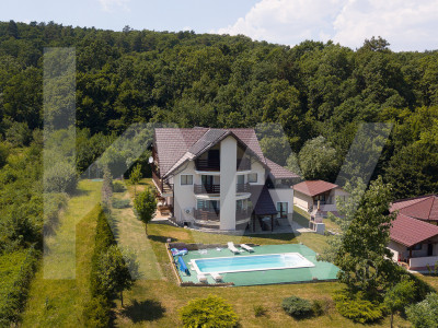Vila exclusivista cu piscina si panorama de vis Cisnadioara