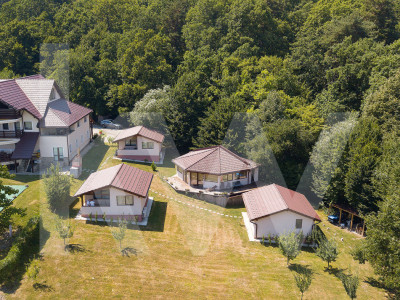 4 Casute de vacanta cu teren de 2000 mp liberi Cisnadioara