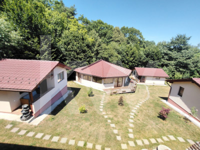 4 Casute de vacanta cu teren de 2000 mp liberi Cisnadioara
