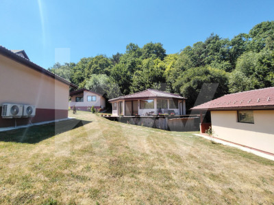 4 Casute de vacanta cu teren de 2000 mp liberi Cisnadioara