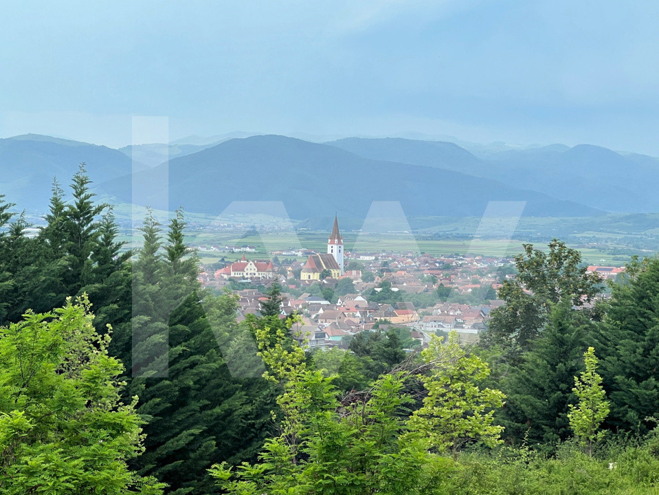 Apartament 3 camere, două băi, curte 110 mp-Natura la tine acasă! Cristian-SiBiU
