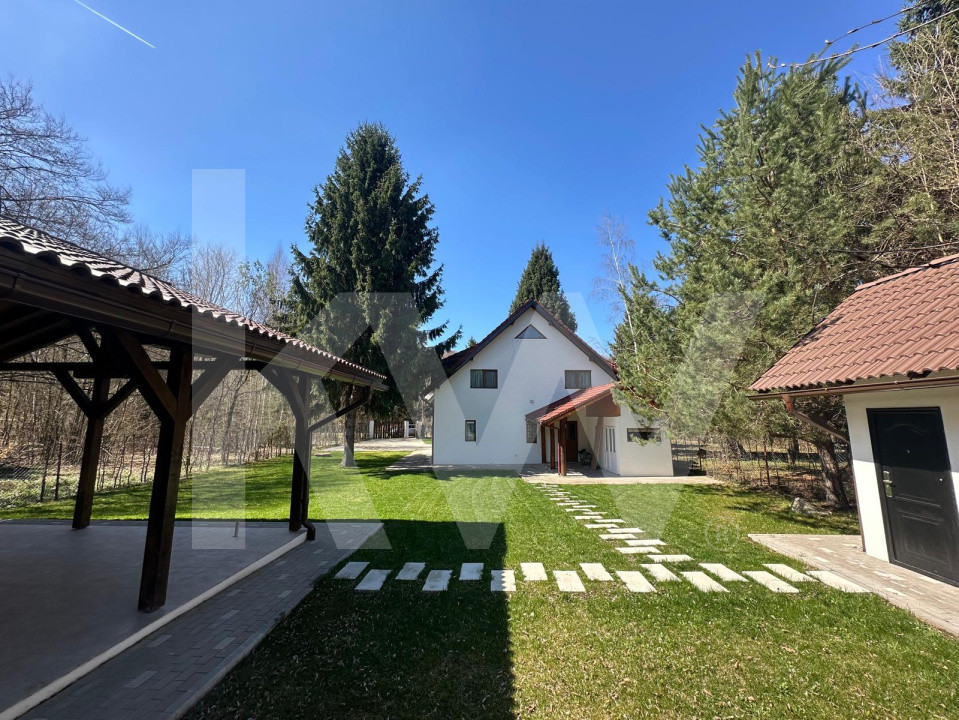  Vila de poveste din Valea Avrigului de vanzare