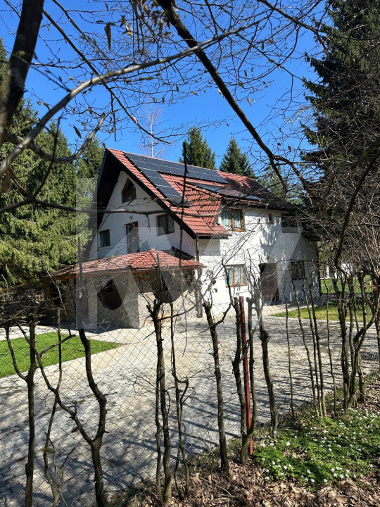  Vila de poveste din Valea Avrigului de vanzare
