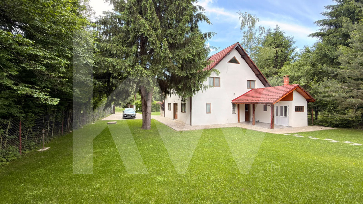  Vila de poveste din Valea Avrigului de vanzare