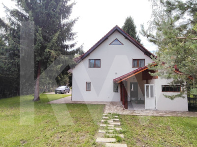  Vila de poveste din Valea Avrigului de vanzare
