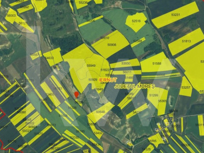 Oportunitate unică de investiție – Pădure, cătină și visuri verzi