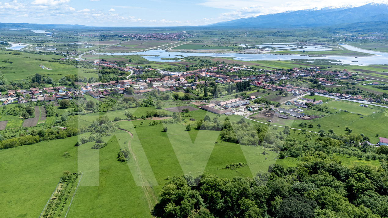 Terenuri de vânzare în Bradu – 500 mp, panoramă superbă la munți și râul Olt