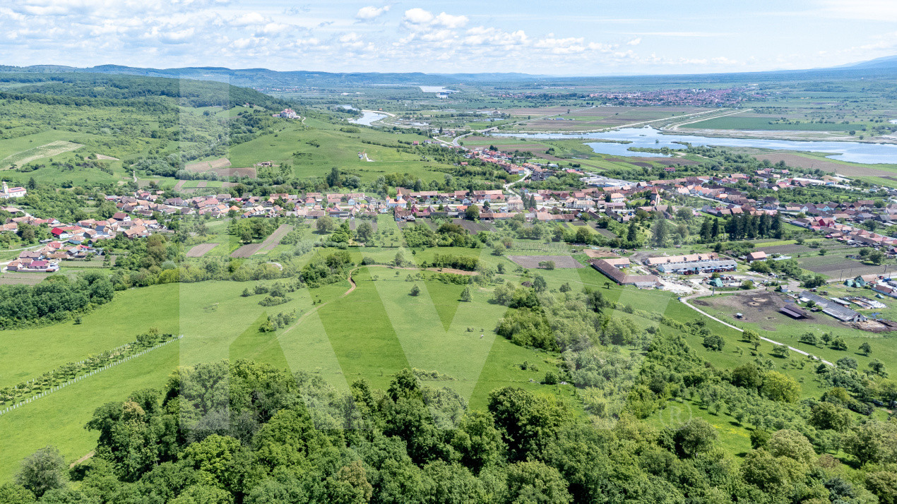 Terenuri de vânzare în Bradu – 500 mp, panoramă superbă la munți și râul Olt