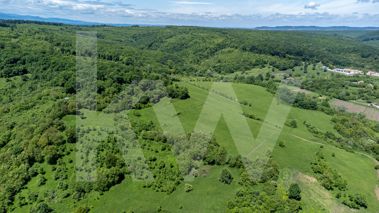 Terenuri de vânzare în Bradu – 500 mp, panoramă superbă la munți și râul Olt