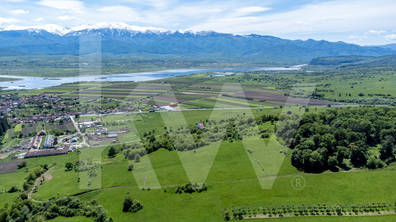 Terenuri de vânzare în Bradu – 500 mp, panoramă superbă la munți și râul Olt