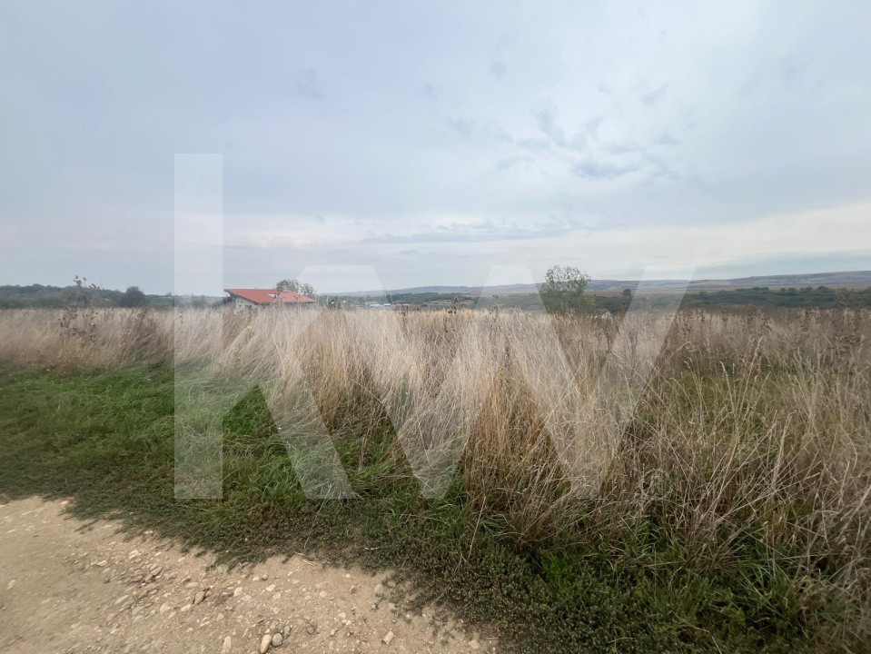 Oportunitate de Investiție – Teren intravilan 4.270 mp cu PUZ  Ocna Sibiului