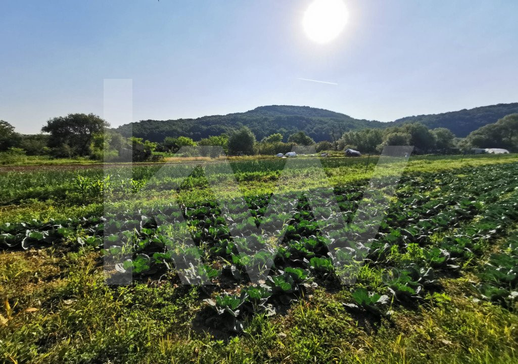 Teren extravilan arabil, 7500mp, Mohu-Bungard