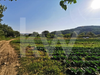 Teren extravilan arabil, 7500mp, Mohu-Bungard