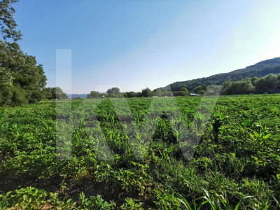 Teren agricol 7500mp in lunca Bungardului, acces din strada