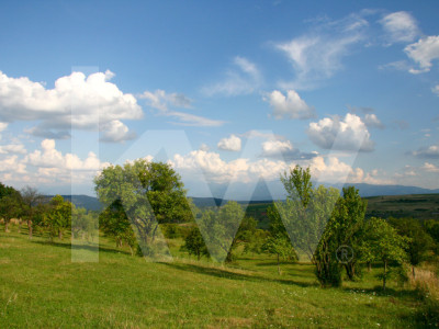 Teren de vânzare în Daia, Sibiu – 600 mp, priveliște superbă spre munți