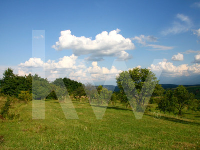 Teren de vânzare în Daia, Sibiu – 600 mp, priveliște superbă spre munți